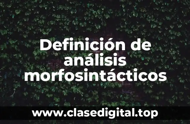 Definición de análisis morfosintácticos