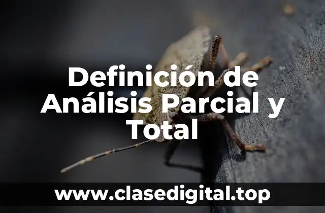 Definición de Análisis Parcial y Total