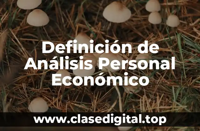 Definición de Análisis Personal Económico