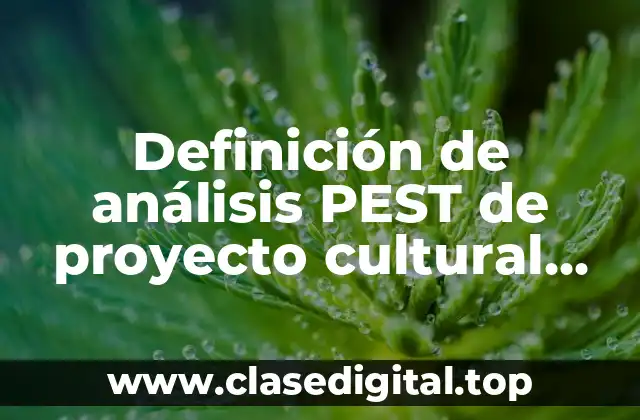 Definición de análisis PEST de proyecto cultural teatro