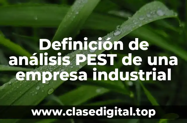 Definición de análisis PEST de una empresa industrial