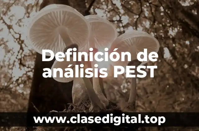 Definición de análisis PEST
