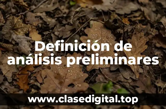 Definición de análisis preliminares