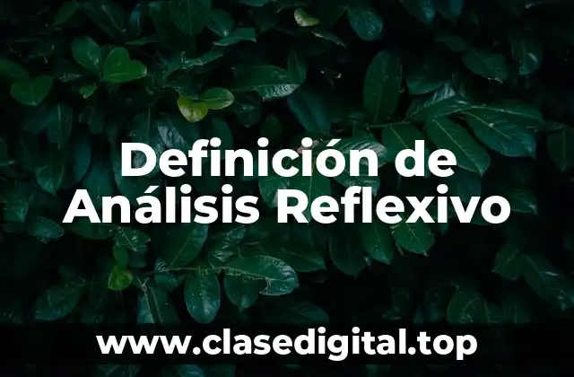 Definición de Análisis Reflexivo