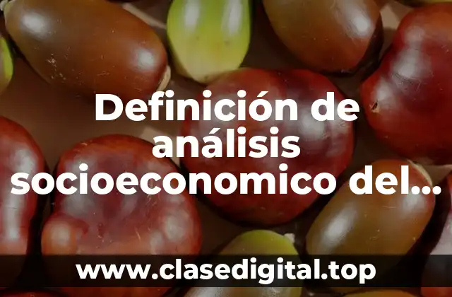 Definición de análisis socioeconomico del mercado