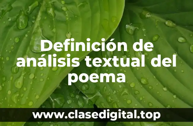 Definición de análisis textual del poema