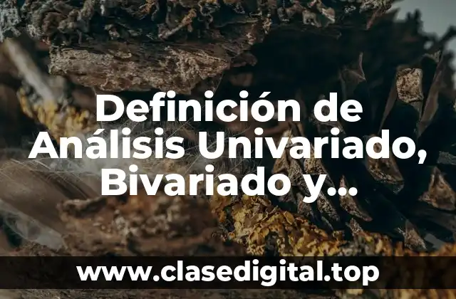 Definición de Análisis Univariado, Bivariado y Multivariado