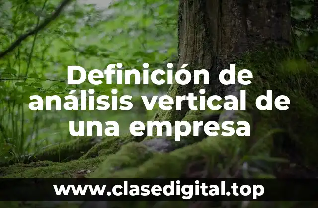 Definición de análisis vertical de una empresa