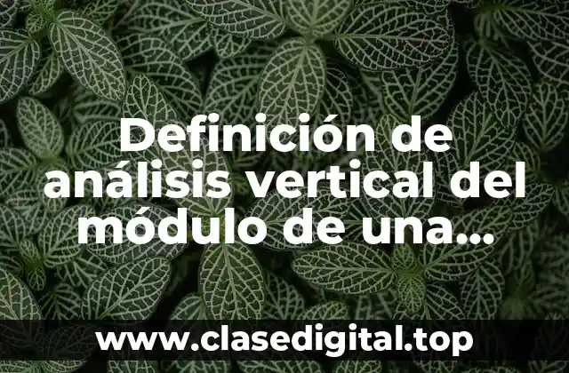 Definición de análisis vertical del módulo de una empresa