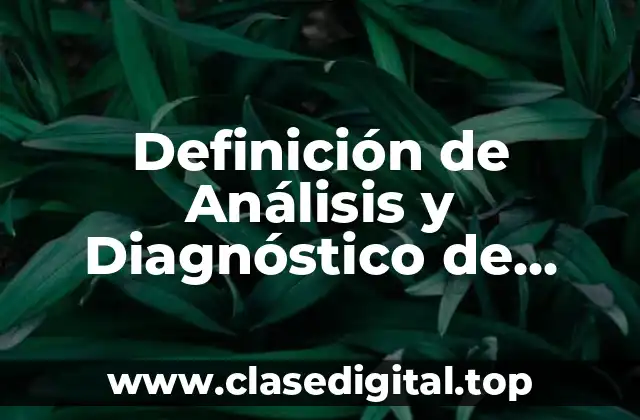Definición de Análisis y Diagnóstico de Riesgo