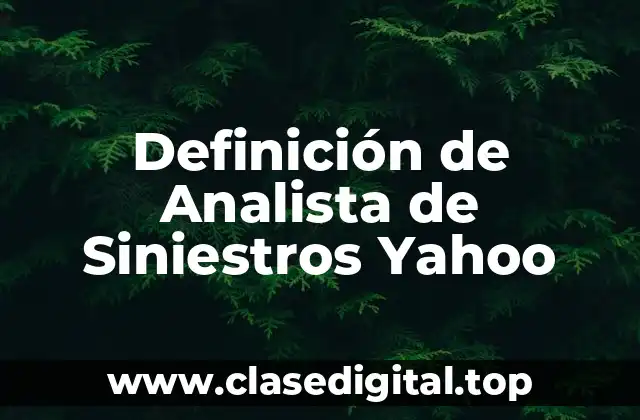 Definición de Analista de Siniestros Yahoo