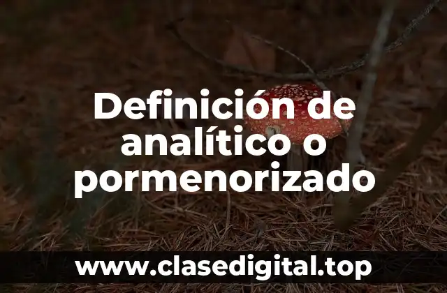 Definición de analítico o pormenorizado