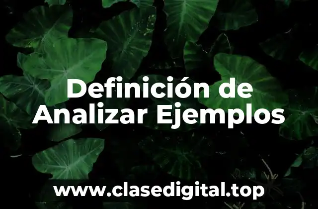Definición de Analizar Ejemplos