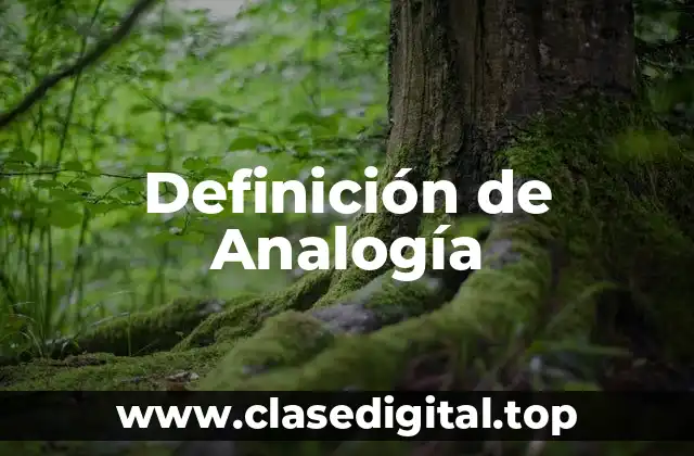 Definición técnica de Analogía