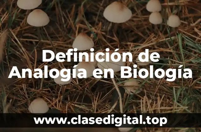 Definición de Analogía en Biología