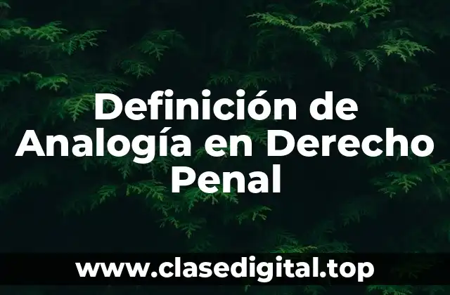 Definición técnica de Analogía en Derecho Penal