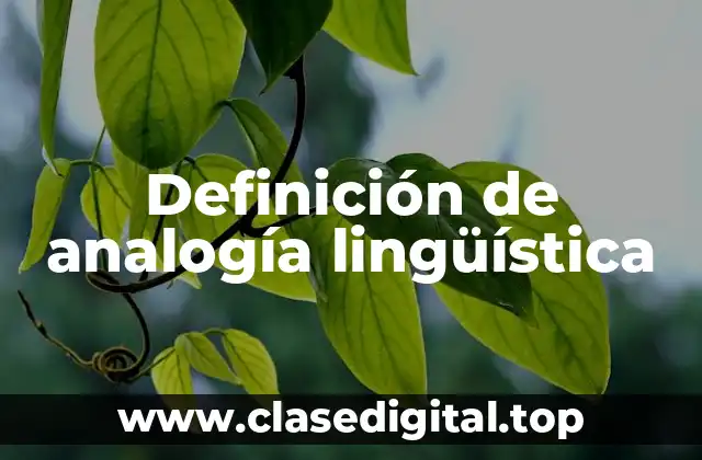 Definición de analogía lingüística
