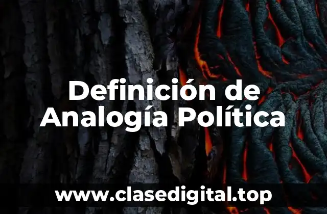 Definición de Analogía Política