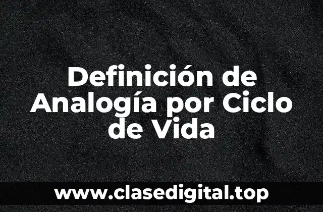 Definición de Analogía por Ciclo de Vida