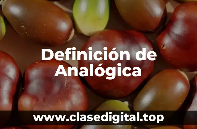 Definición de Analógica