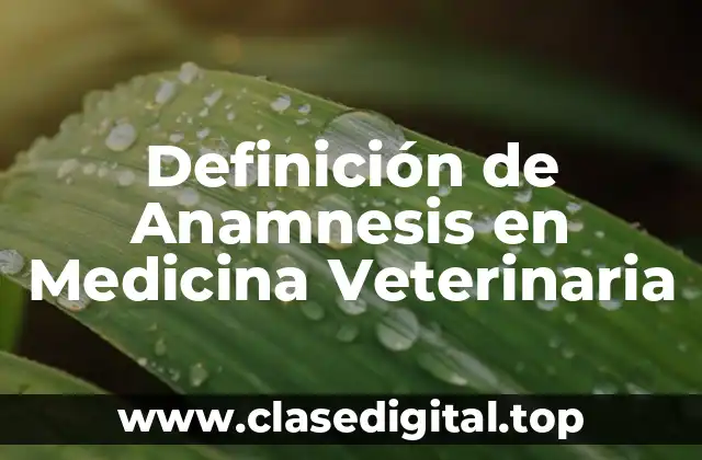 Definición de Anamnesis en Medicina Veterinaria