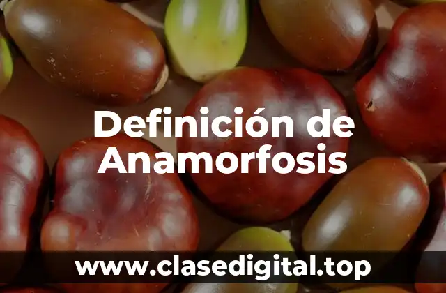 Definición de Anamorfosis