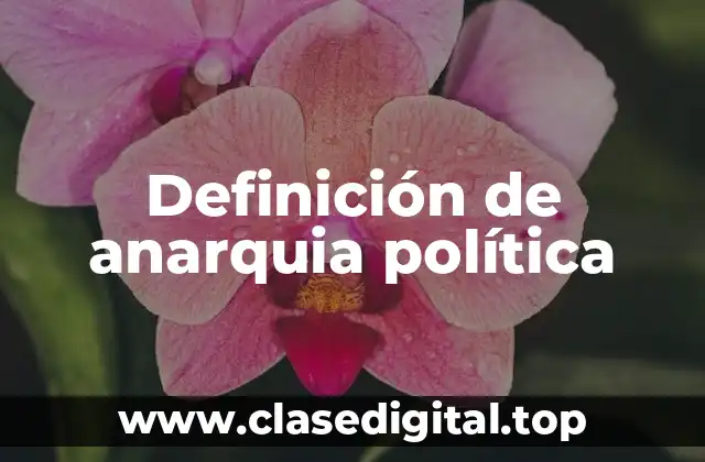 Definición de anarquia política