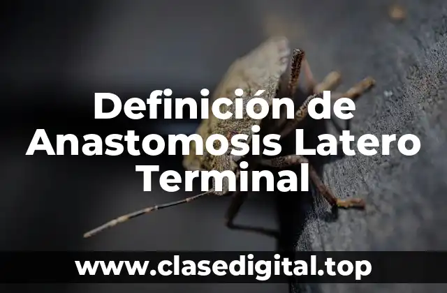 Definición de Anastomosis Latero Terminal