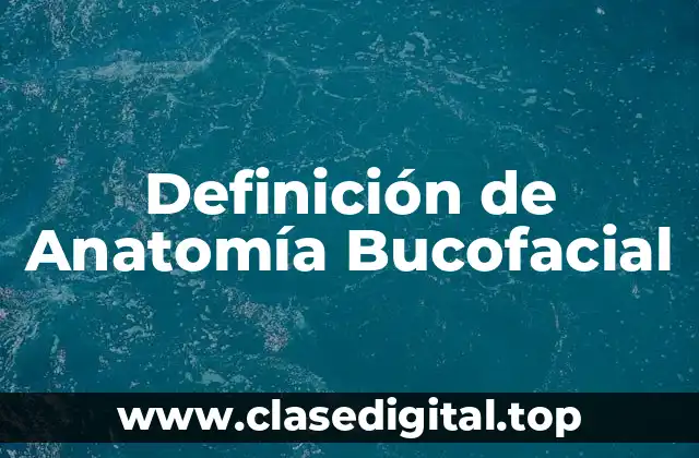 Definición de Anatomía Bucofacial