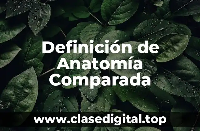 Definición de Anatomía Comparada