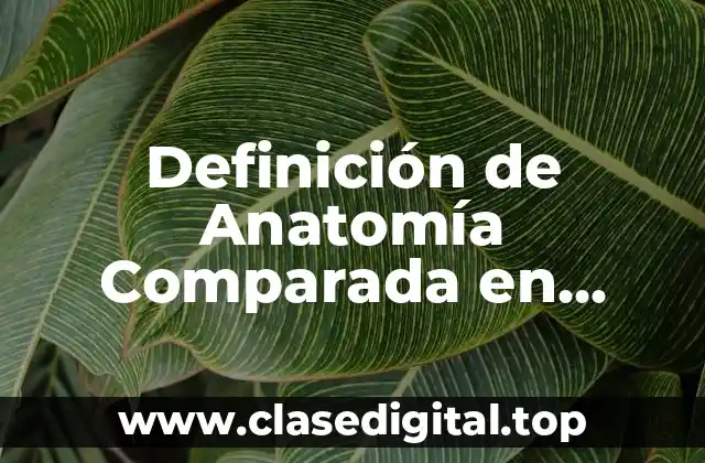 Definición de Anatomía Comparada en Biología
