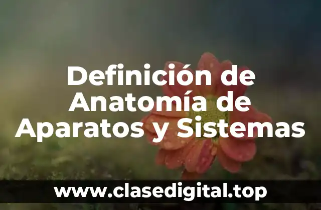 Definición de Anatomía de Aparatos y Sistemas