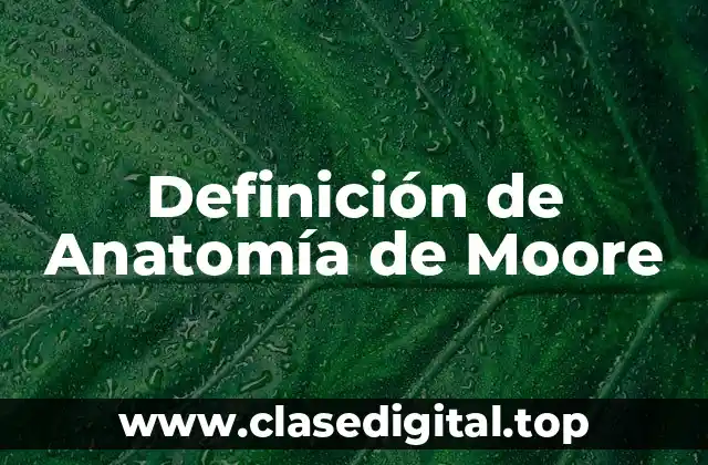 Definición de Anatomía de Moore