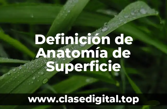 Definición de Anatomía de Superficie