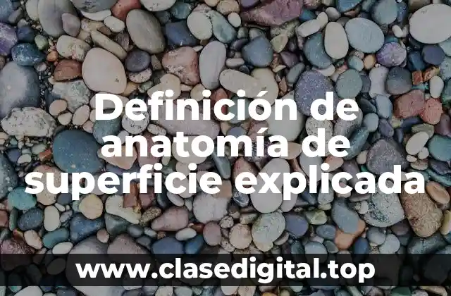 Definición de anatomía de superficie explicada