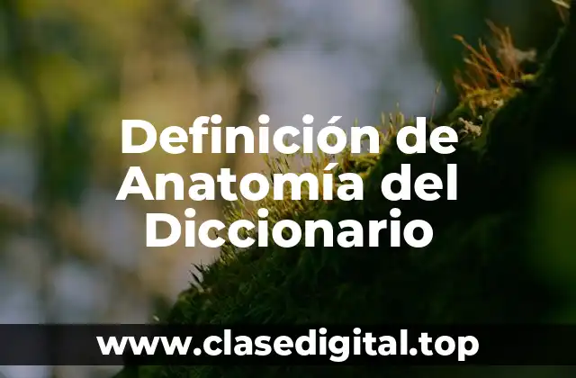 Definición de Anatomía del Diccionario