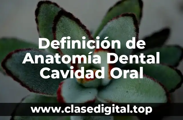 Definición de Anatomía Dental Cavidad Oral