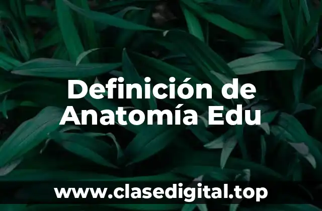 Definición de Anatomía Edu