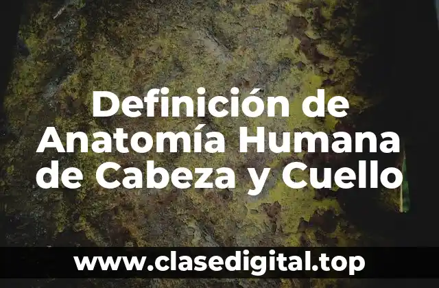 Definición de Anatomía Humana de Cabeza y Cuello