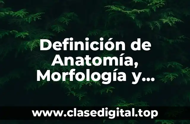 Definición Técnica de Anatomía Animal
