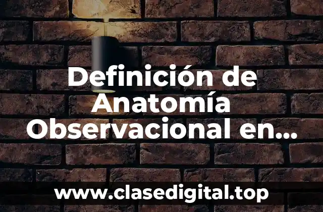 Definición de Anatomía Observacional en Veterinaria