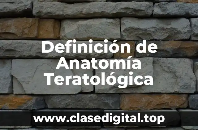 Definición de Anatomía Teratológica
