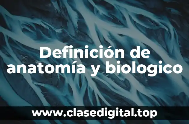 Definición de anatomía y biologico