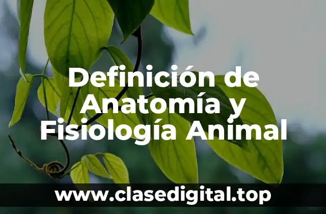 Definición de Anatomía y Fisiología Animal