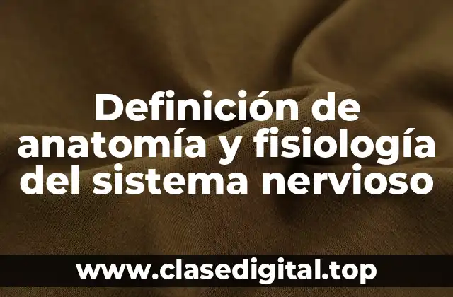 Definición de anatomía y fisiología del sistema nervioso