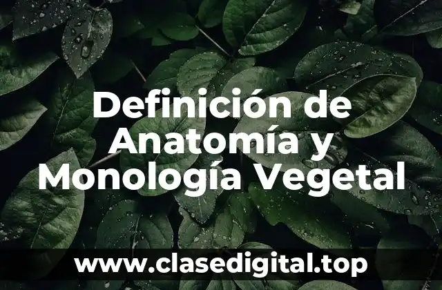 Definición de Anatomía y Monología Vegetal