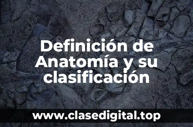 Definición de Anatomía y su clasificación