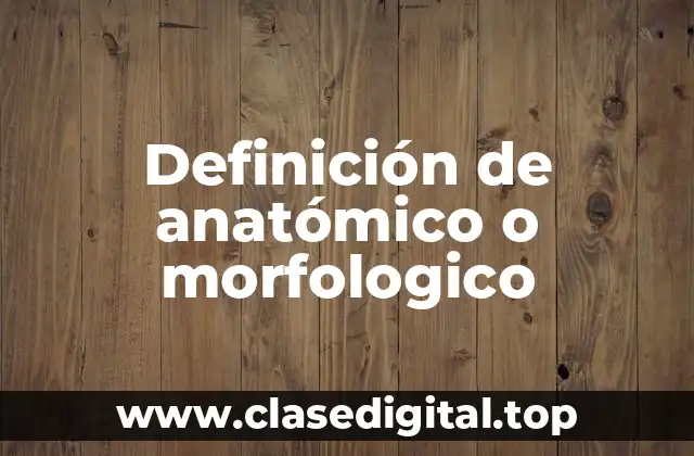 Definición de anatómico o morfologico