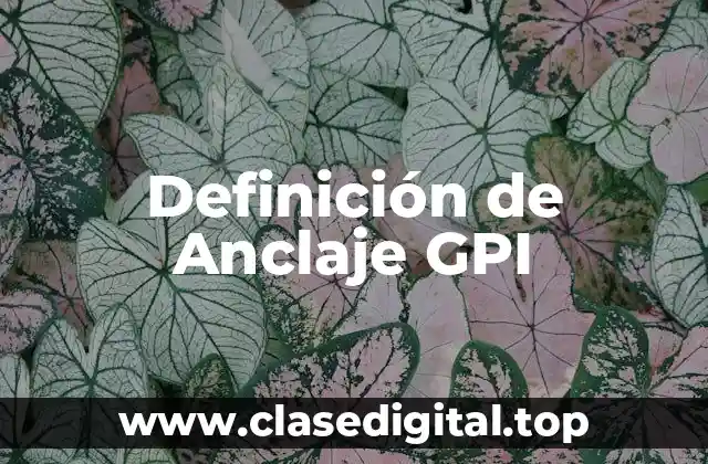 Definición de Anclaje GPI