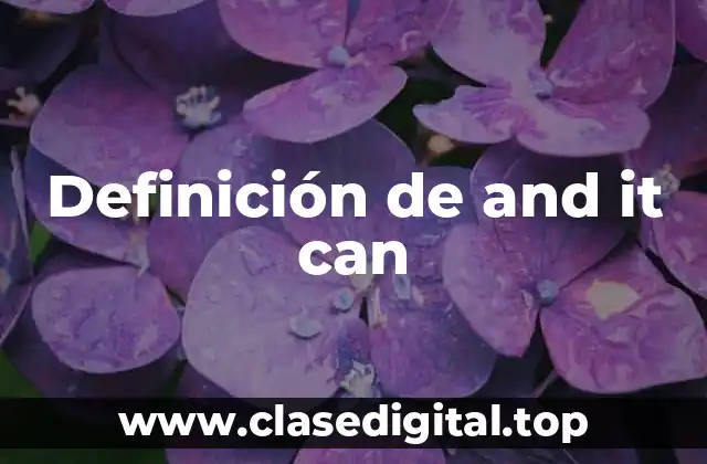 Definición de and it can